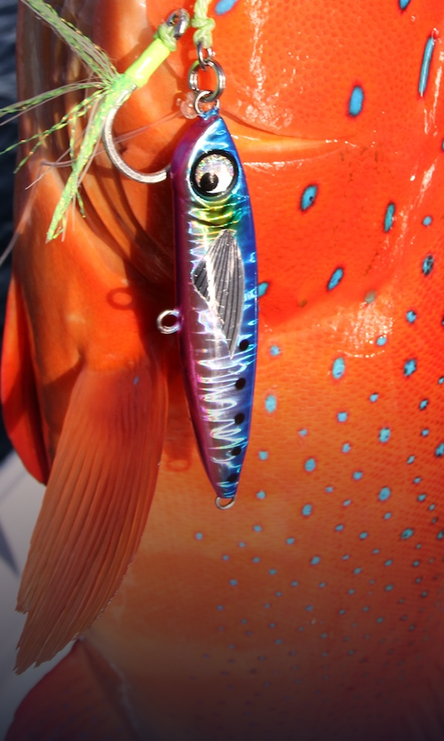 ENSŌ: Precision Lures for Purpose-Driven Anglers